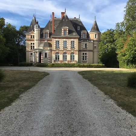 Chateau De Praslins Nogent-sur-Vernisson Exteriör bild