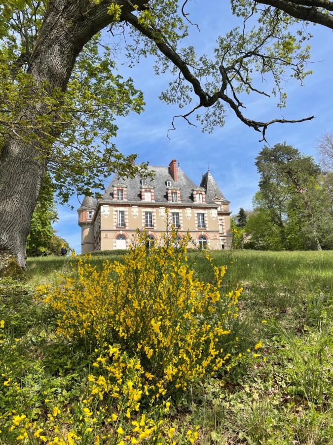 Chateau De Praslins Nogent-sur-Vernisson Exteriör bild